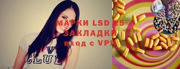 амф Горняк
