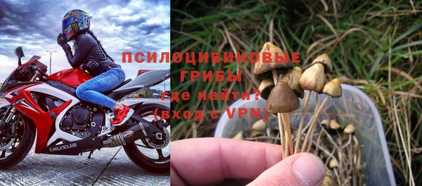 ALPHA-PVP Гусиноозёрск