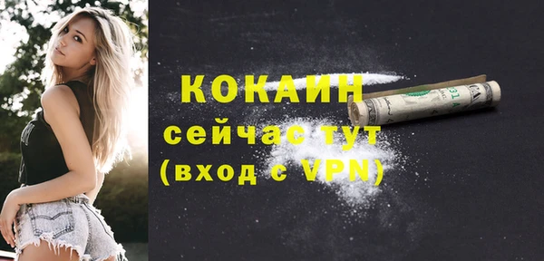 амф Горняк